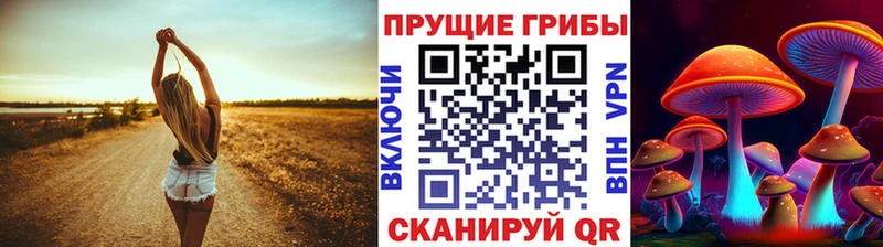 Псилоцибиновые грибы Psilocybe магазин продажи наркотиков Ядрин